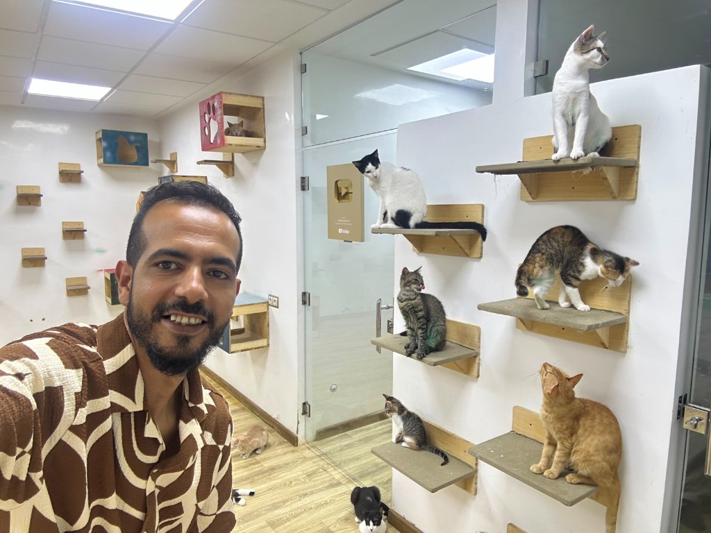 Volunteer with rescued cats in the shelter lounge